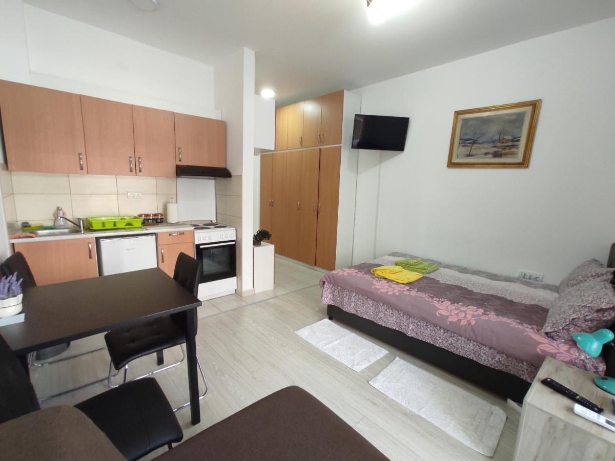 Apartman Goca Баня-Ковиляча Экстерьер фото